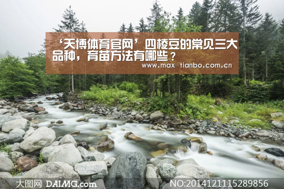 ‘天博体育官网’四棱豆的常见三大品种,育苗方法有哪些?(图2) 天博体育