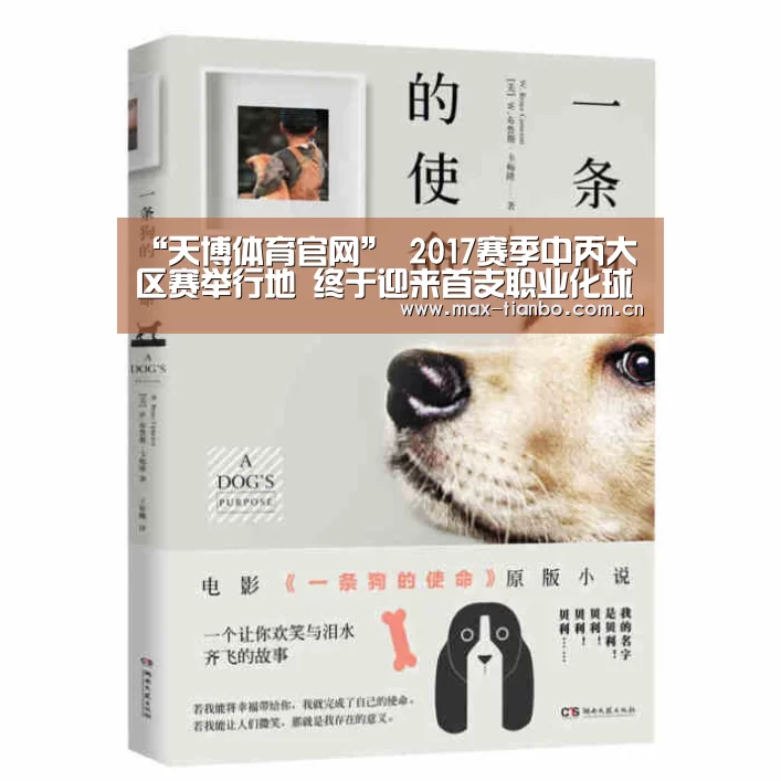“天博体育官网”
2017赛季中丙大区赛举行地 终于迎来首支职业化球队