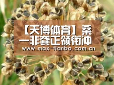 【天博体育】桑一非龚正领衔冲锋!甲乙附加赛次轮辽足客战苏州东吴首发宣布(图2) 天博体育