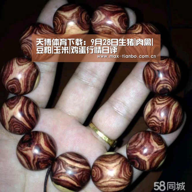 天博体育官网