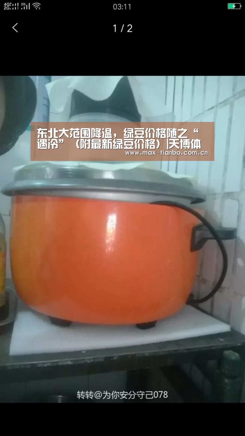 东北大范围降温，绿豆价格随之“遇冷”（附最新绿豆价格）|天博体育app