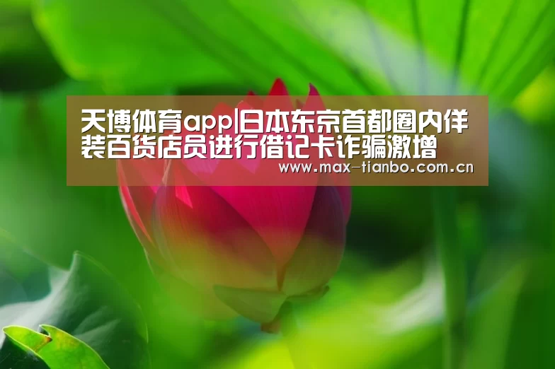 天博体育app|日本东京首都圈内佯装百货
